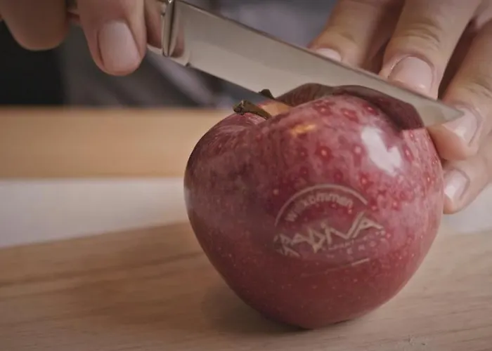 格拉迪瓦公寓 伊施格尔